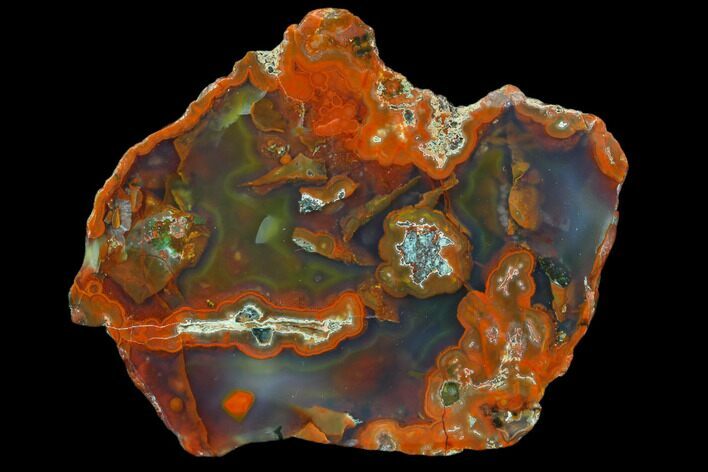 Beautiful Condor Agate From Argentina - Cut/Polished Face #79474